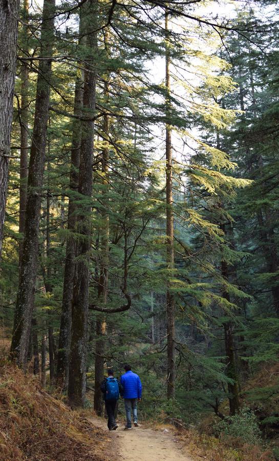 Вилла Thikalna Himalayan Retreat Алмора Экстерьер фото